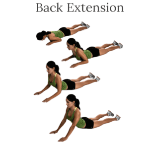 Back extension exercises for dentists.